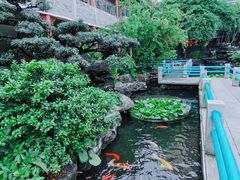 -桃园盛宴·岭南粤菜·手工茶点(南庄店)