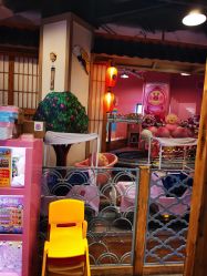 -卡通尼乐园(新达汇三林店)