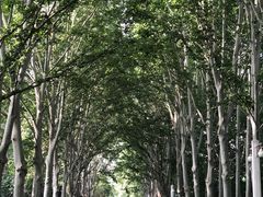 -河南省黄河迎宾馆