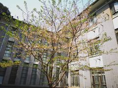 -华东理工大学徐汇校区-图书馆