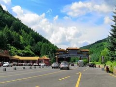 -御道口草原森林风景区
