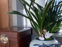 -泉·颂钵冥想·减压·疗愈SPA(前海店)