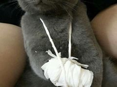 -STELLAR NIGHT CLUB星际酒吧(明发商业广场店)