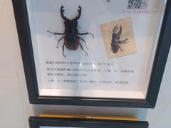 -仪征宝能环球汇