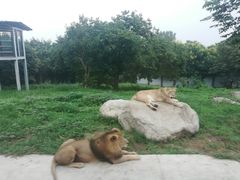 -西安秦岭野生动物园