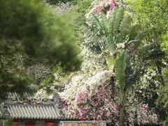 -深圳国际园林花卉博览园