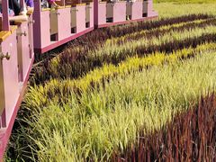 -稻梦空间冰雪小镇