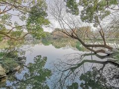 -西湖游船