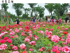 -武汉紫薇都市田园