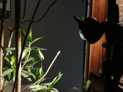 -C Cafe(朵云书院·戏剧店)