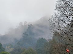 -缙云山景区