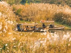 -西溪国家湿地公园