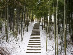 -江南天池