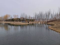 -东郊湿地公园