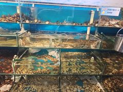 -仙螺岛海鲜自助餐厅(总店)