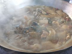 -姥家大锅台水库渔家