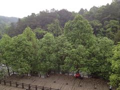 -保利石象湖景区