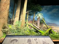 -贵州省地质博物馆