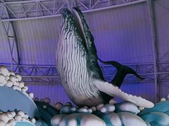 -烟台海昌鲸鲨海洋公园