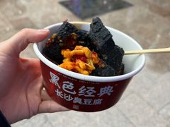 -黑色经典臭豆腐·湖南特产(潇湘文化店)