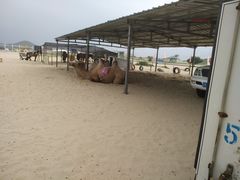 -库伦旗银沙湾旅游景区