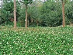 -白鹭湾湿地公园