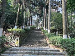-莫干山风景区