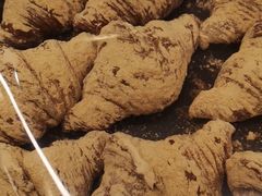 -OUR Bakery(SKP-S店)