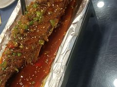 -金龙寨(龙城路店)