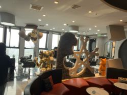 -TOP HAIR SALON