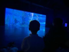 -波塞冬海底世界