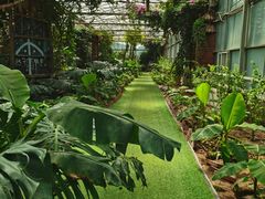 -呀路古热带植物园