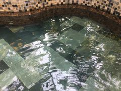 -三亚珠江南田温泉度假区