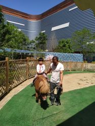 -萌宠亲子动物乐园(槐房万达店)