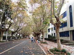 -四川农业大学(雅安校区)