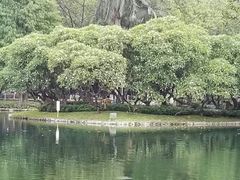 -晓港公园