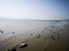-深圳湾公园(南山区)