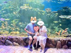 -华夏文旅海洋公园