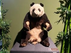 -深圳博物馆历史民俗馆