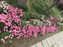-鲜鱼口老字号美食街
