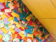 -志龙皇冠吃货椰子铺