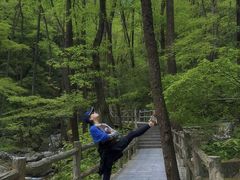-牛背梁国家森林公园