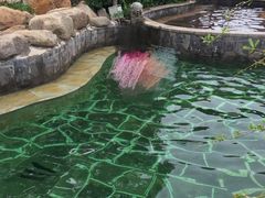-徂徕山森林康养度假谷温泉