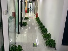 -新航道雅思托福·留学·考研培训(人民广场校区)