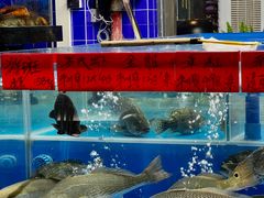 -明本湛江鸡•海鲜小厨(陈家祠店)