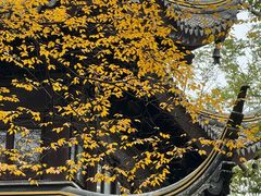 -西园戒幢律寺
