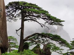 -自游人·美食一楼