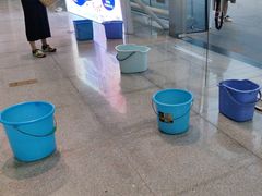 -广西体育中心-游泳馆