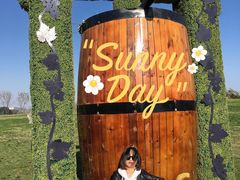 -云漫湖生态度假公园