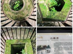 -中国观音故里广德景区